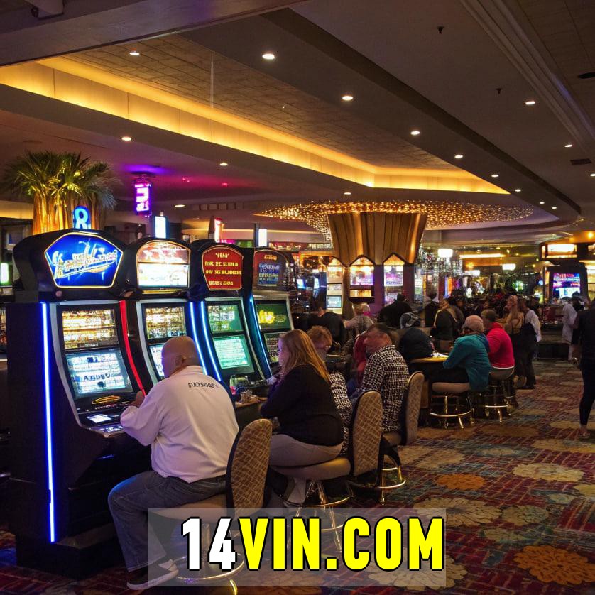 14vin